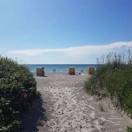 Sonnenschein 21 -